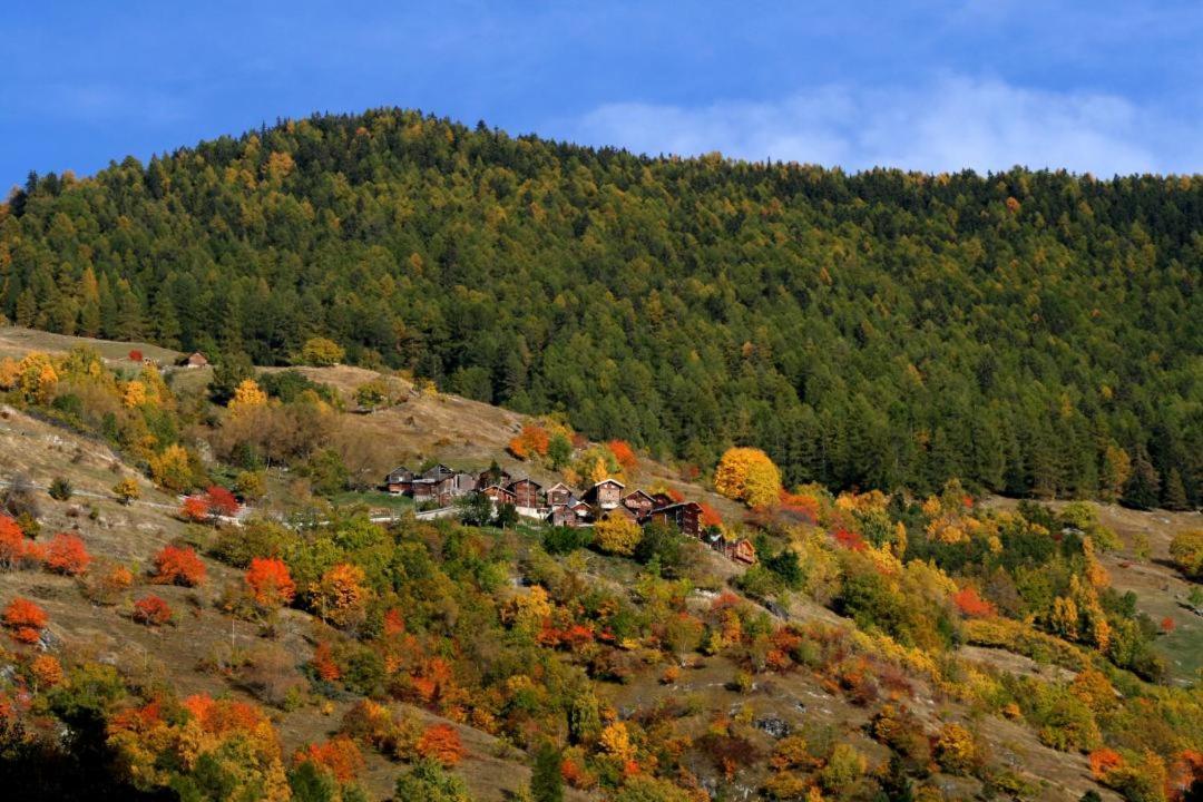 Cosy Studio For 5 Near Ski Lift, Les Gentianes Les Collons Ngoại thất bức ảnh